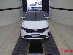 SORENTO MQ4 (H) SIGNATURE